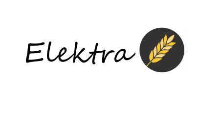 Tienda Elektra